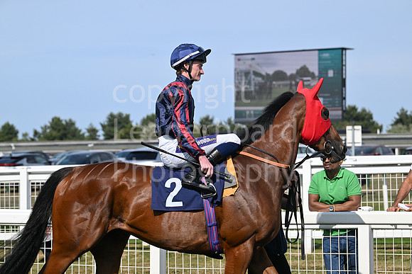 Gt_Yarm_Residents_Day_June_27-176