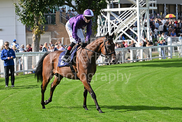 Gt_Yarm_25_Aug_Family_Raceday_2024-135
