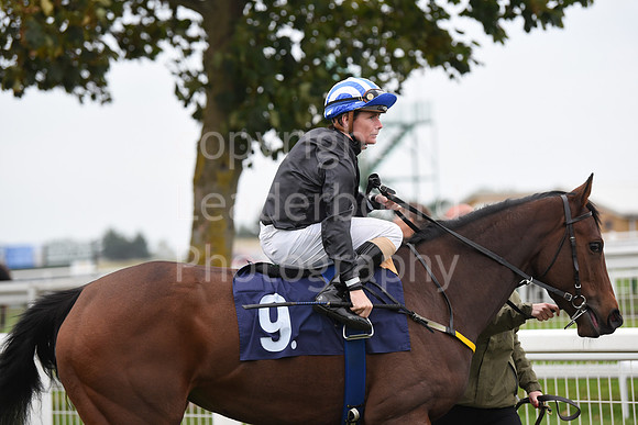 Gt_Yarm_Season_Finale_19Oct_2021-231