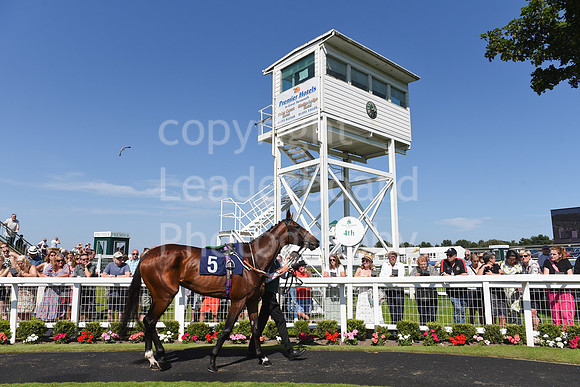 Gt_Yarm_July_30_2024-157