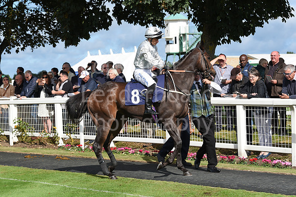 Gt_Yarm_Eastern_Fest_Day_2-44