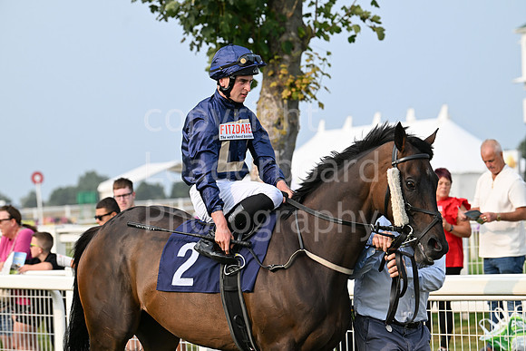 Gt_Yarm_19_Aug_Evening_Race-6