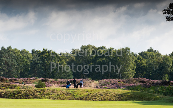 LBP_6391