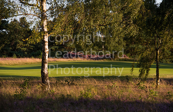 LB_004_Woodhall_Spa_Course