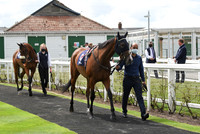 Great_Yarm_Racing_15July-7