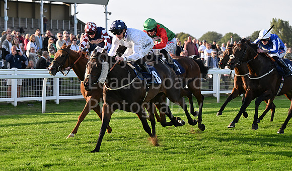 Gt_Yarm_Eastern_Fest_18_Sept_2024-288