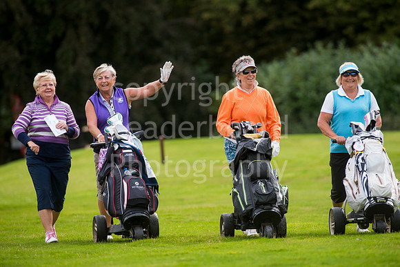LB_038_Senior_Series_Final