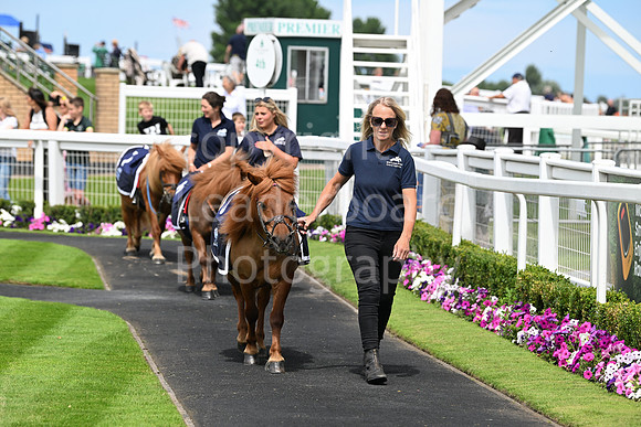 Gt_Yarm_3_Aug_2025_Shetland_Race-2