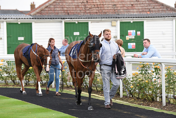 Yarm_Races_17July-65