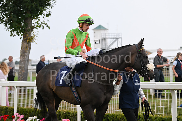 Gt_Yarm_19_Aug_Evening_Race-183