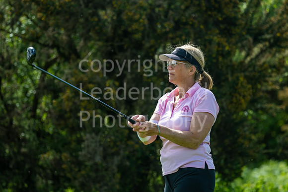 LBP_ESWAC_2022_High_Post-110