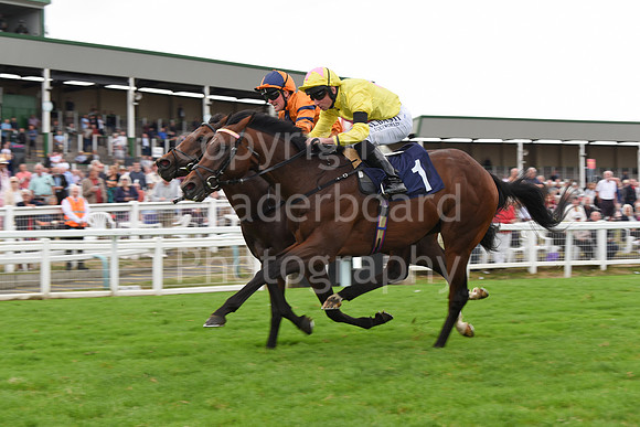 Gt_Yarm_14_Sept_2022-155