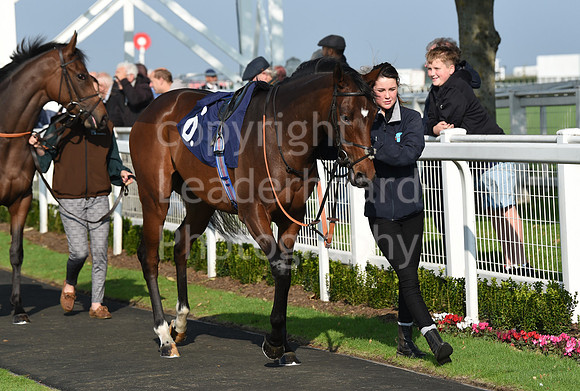Gt_Yarm_Season_Finale_19Oct_2021-3