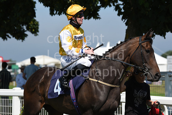 Gt_Yarm_Racing_5th_Aug_2021-20