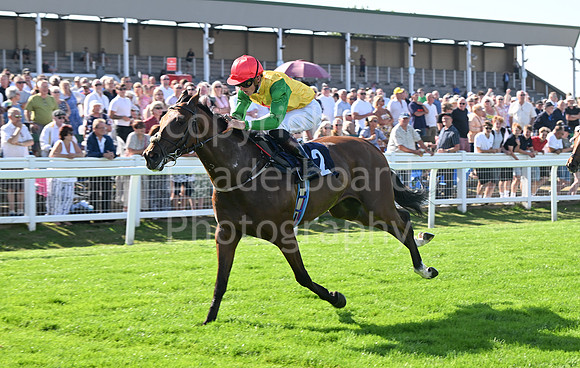 Gt_Yarm_Residents_Day_June_27-225
