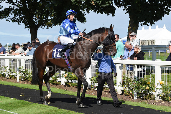 Gt_Yarm_Races_24_Aug_2021-103