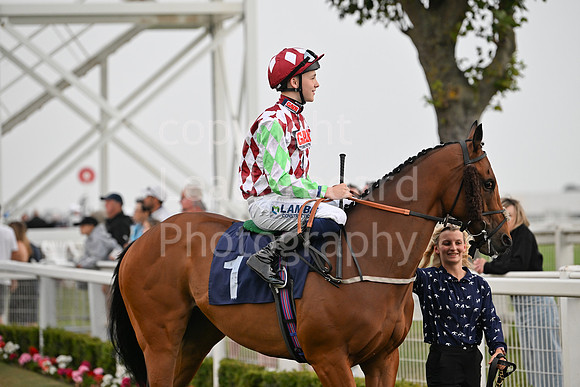 Gt_Yarm_19_Aug_Evening_Race-187