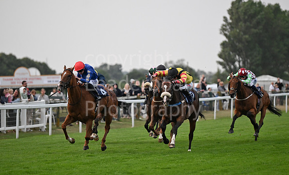 Gt_Yarm_19_Aug_Evening_Race-198
