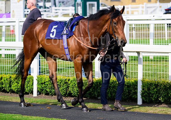NZ9_5667