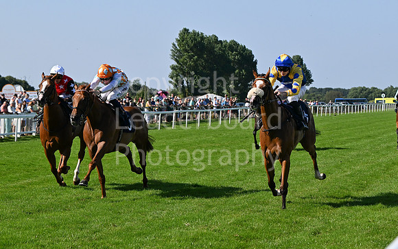 Gt_Yarm_July_30_2024-234
