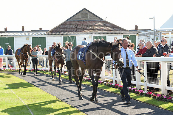 Gt_Yarm_Eastern_Fest_Day_2-164