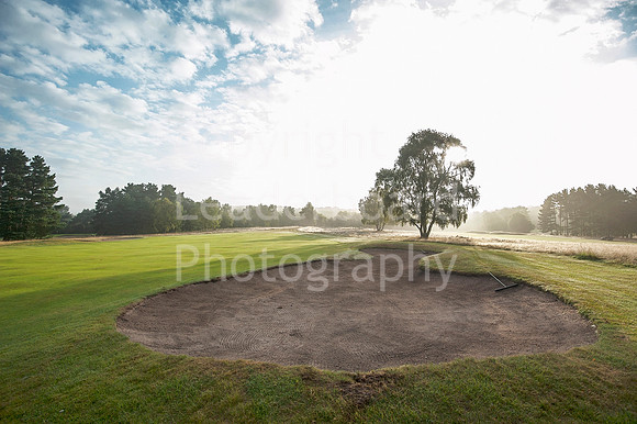 NB_REID_Trophy_2014