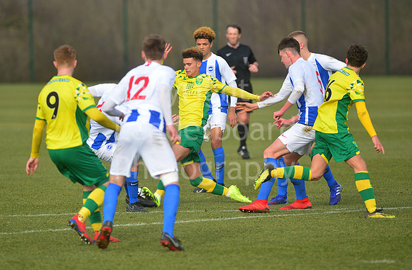 NB_050_NCFC_U18_Brighton
