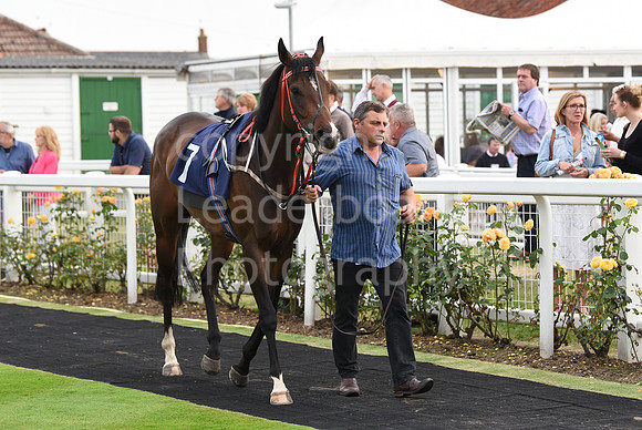 Yarm_Races_17July-57