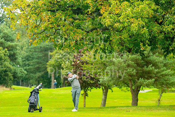 LBP_PIng_Mixed_2024-27