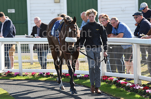 Gt_Yarm_Eastern_Fest_Day_2-141