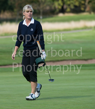 NB_41_Grand_Final_Ping