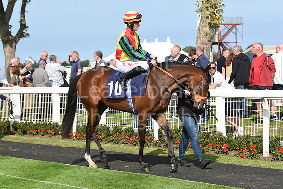 Gt_Yarm_14_Sept_2022-44