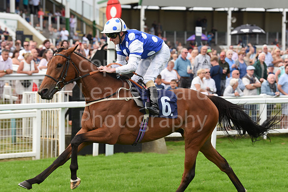 Gt_Yarm_Races_24_Aug_2021-59