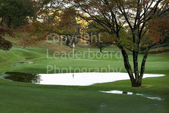 LB_Senior_Mens_County_2014_565