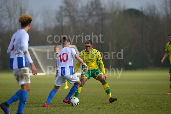 NB_082_NCFC_U18_Brighton