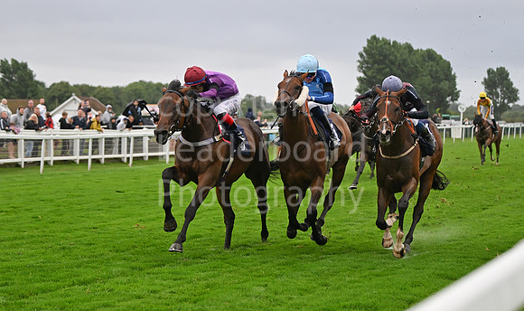 Gt_Yarm_Ladies Night_2025-103