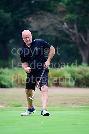 NZ9_3965