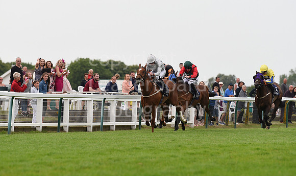Yarm_Races_17July-47