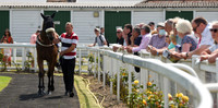 Gt_Yarm_Races_22_July2021-1