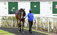 Gt_Yarmouth_Races_22July2020-5