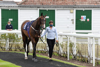 Gt_Yarmouth_Races_22July2020-4