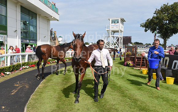 Gt_Yarm_Aug_8_2024-72