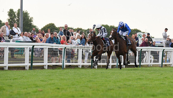 Yarm_Races_17July-59