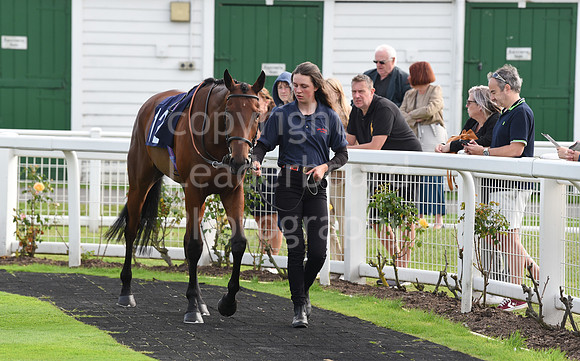 Gt_Yarm_Races_24_Aug_2021-217