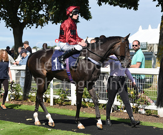 Gt_Yarm_Races_24_Aug_2021-100