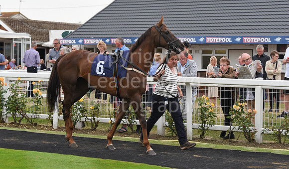 Yarm_Races_17July-32