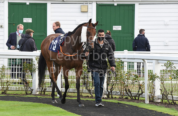 Gt_Yarmouth_Races_230Aug-140