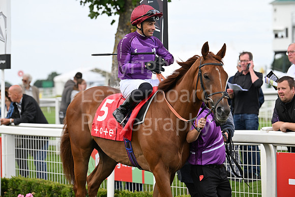 Gt_Yarm_July25_Racing_League_2024-21