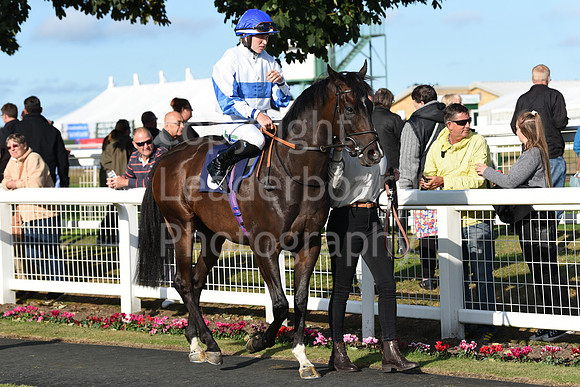 Gt_Yarm_Eastern_Fest_Day_2-213