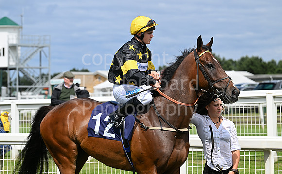 Gt_Yarm_Racing_July_10_-11